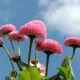 7 Tipps für Entspannung im Alltag
