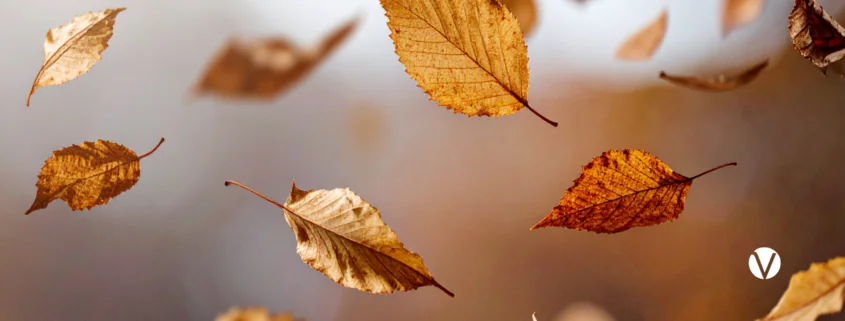 Der Herbst und seine Tücken