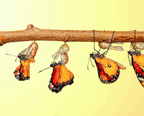 Der Transformationsrausch – Wenn Informationen ins Stocken geraten