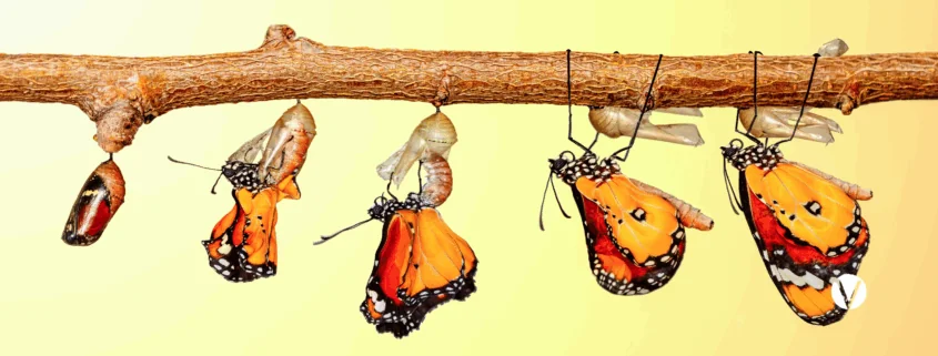 Der Transformationsrausch – Wenn Informationen ins Stocken geraten