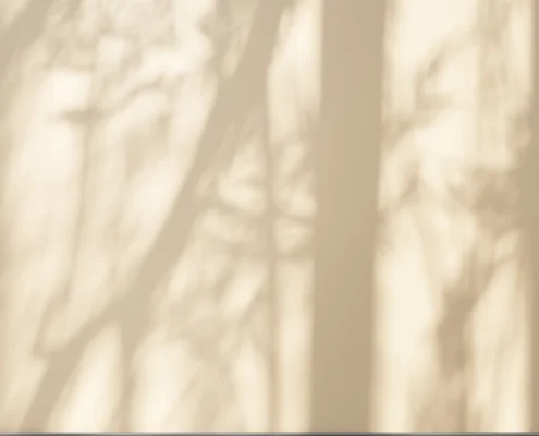 Das Licht, das nicht in die Schatten passte.