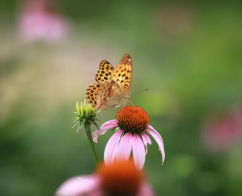 Coaching To Go... und die wahre Akzeptanz!