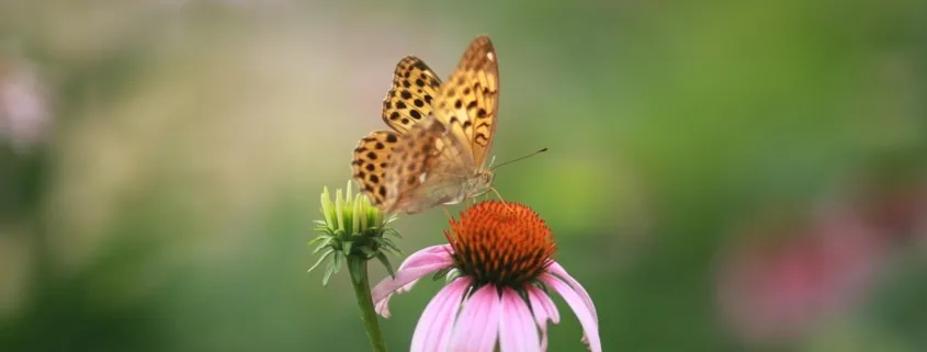 Coaching To Go... und die wahre Akzeptanz!