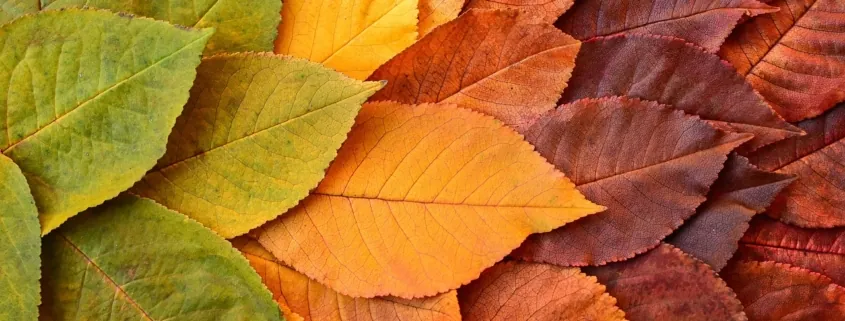 Nichts bleibt - alles wird